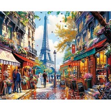 Paris Paint by Numbers Kit for Adults DIY Canvas Oil Painting Home Wall Decor