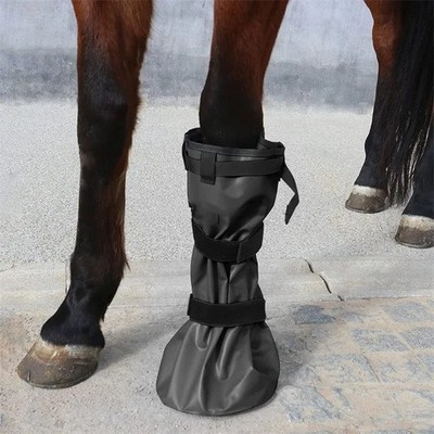 Soor Behandlung Einweichen Stiefel für Pferde Hufpflege White Line Krankheit Vorbeugung