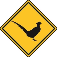 Sticker attention pheasant 8 x 8 cm car decal sticker