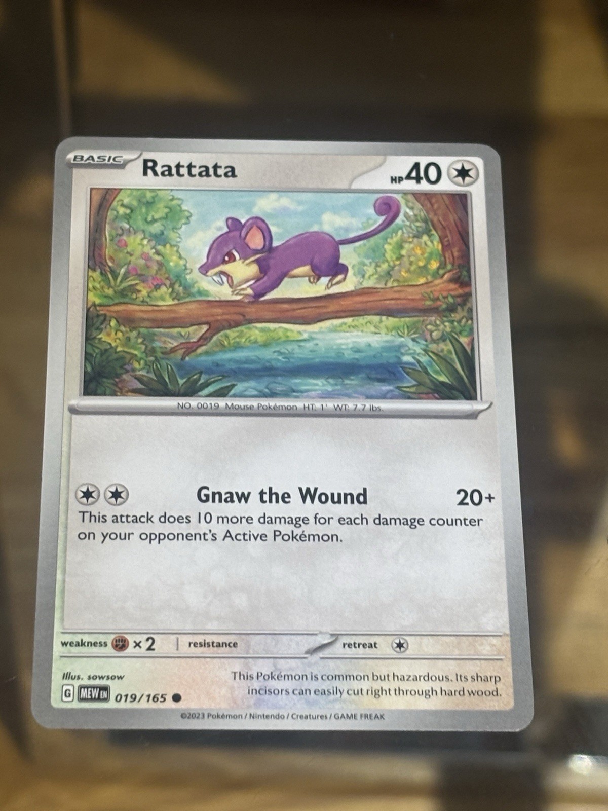 Rattata 019/165 Sv: Scarlet & Violet 151 Regular Pokemon Card