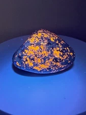 CLASSIC FLUORESCENT Yooperlite (Sodalite-bearing Syenite) Mineral Specimen