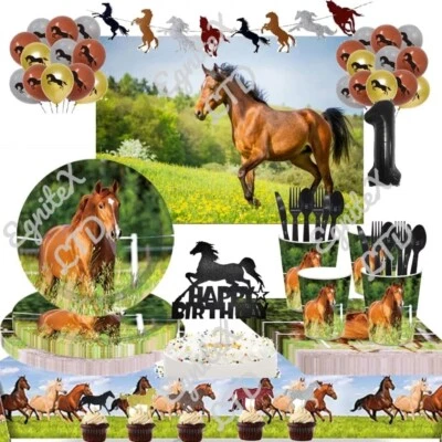 PARTY FUNGAMA Horse Pony Equestrian Birthday Party Tableware Set Decorations Banner Balloons