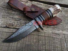Rare Hand Forged Damascus Steel Hunting Knife Stag Horn Handle 