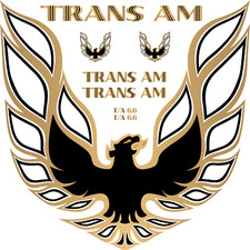 Firebird Trans Am Vintage Retro American Muscle Car Vinyl Sticker Decal Hood Firebird Trans Am Vintage Retro American Muscle Car Vinyl Sticker Decal Hood