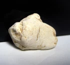 Antietam Civil War Relic Dug Center of Battle Wilson Farm Fired Cleaner Bullet