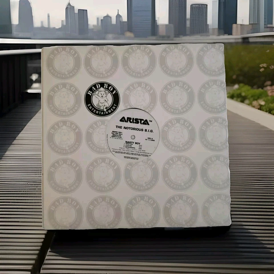 BAD BOY RECORDS LOT OF 5 PROMO 12" VINYL SINGLES NOTORIOUS BIG LIL KIM 112 TOTAL Foto 3 de 4