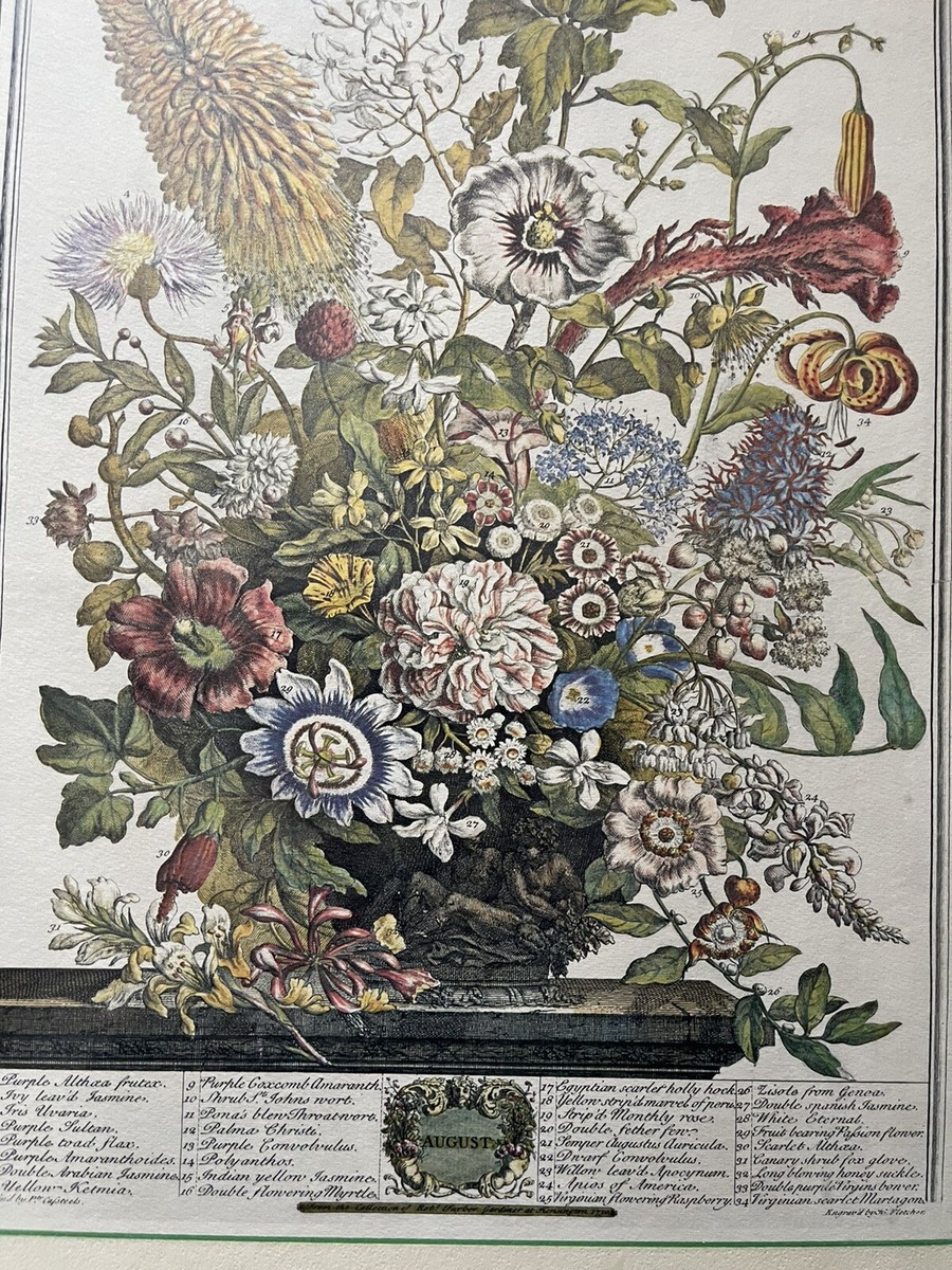 Vintage Floral Hand Painted Lithograph Print from the Twelve
