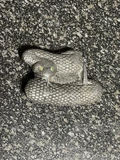 Vintage 1976 Bergamot Brass Works Rattlesnake Snake Belt Buckle 3 1/4" Wide