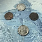 U.S. Coin Lot! Buffalo & Liberty V Nickel Indian Head Cent Wheat Penny. FREE S&H