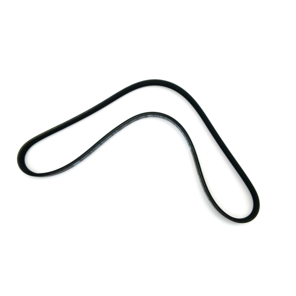 【新品】W double nylon belt ovy XZQTIVE Double Grommet Canvas Belt Double Hole Cloth Nylon Web