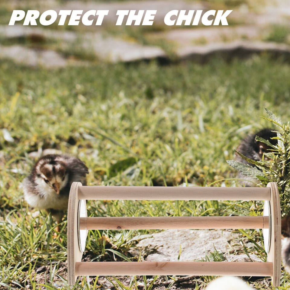 Chick Toys for Brooder Chicken Coop Perch Hen Swing Stand Baby Roosting