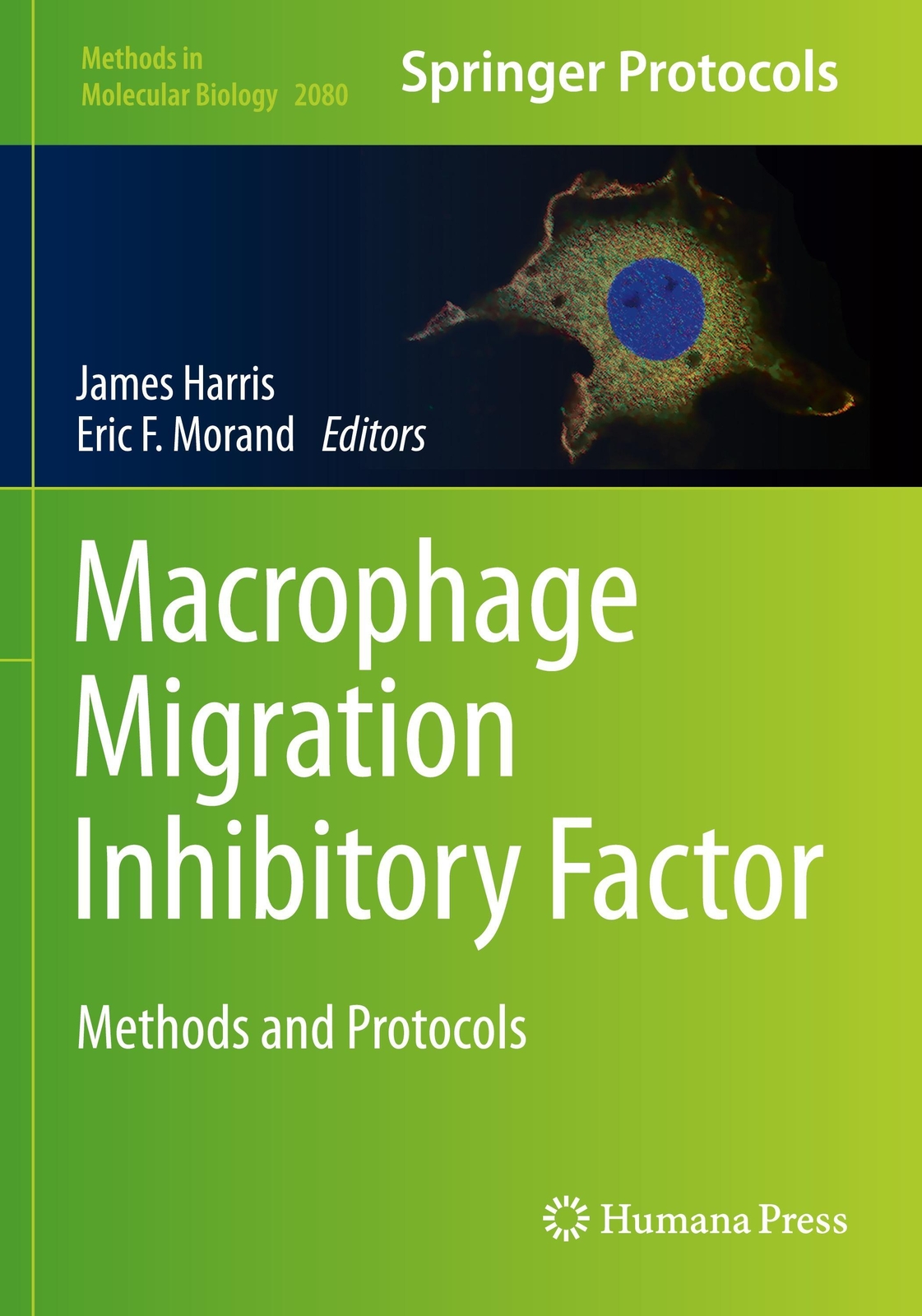 Thumbnail - Macrophage Migration Inhibitory Factor | Eric F. Morand (u. A.) |