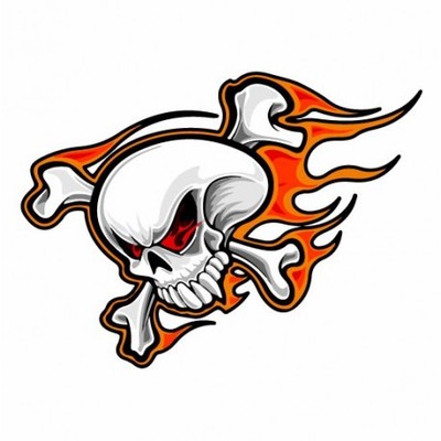 Tete De Mort En Feu Autocollant Sticker Adhesif Logo 3 1 Ebay