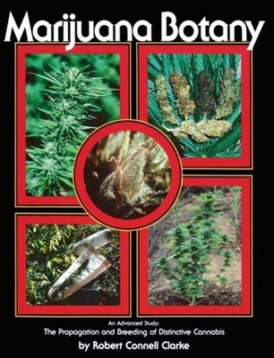 MARIJUANA BOTANY: AN ADVANCED STUDY: THE by Robert Connell Clarke Paperback