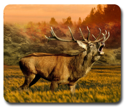 Stag Elk in Rutt - Hunting ~ Mousepad / PC Mouse Pad ~ Gift Hunter ...