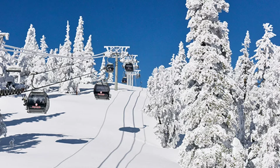 Marriott Timber Lodge Lake Tahoe Ski Resort STUDIO VILLA 3 Night NOV ANY YEAR - Image 2 of 4