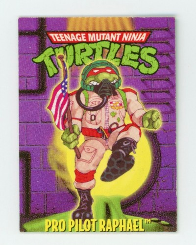 1994 TMNT Pro Pilot RAPHAEL Mini Mutants Collectors Card Playmates Toys Mirage