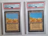 MTG 2X Arabian Nights Desert Both Versions PSA 7 NM Vintage Magic 1993 Campfire