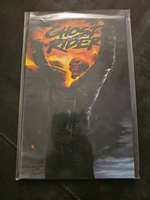 GHOST RIDER Sonderband - 1.5 !! (von 1-6)  lim. 666 Ex. - PANINI 2007-2009 F9 