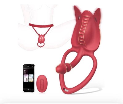 Couples Sex Toy Wearable Vibrator- Vibrating Panties Clitoral Stimulator G  Spot | eBay