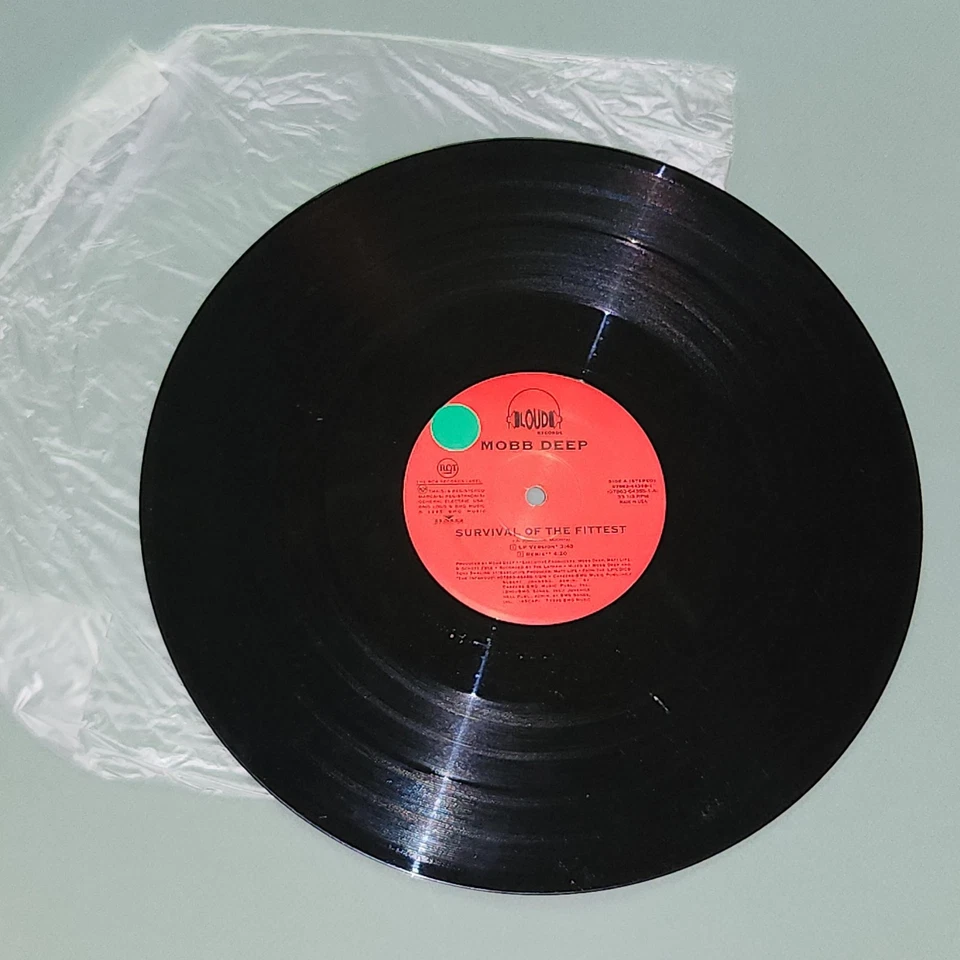 MOBB DEEP SURVIVAL OF THE FITTEST RCA RECORDS 1995 HARDCORE HIPHOP RECORD Foto 3 de 4