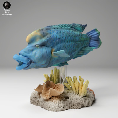 Napoleon or Humphead Wrasse - 3D Printed Model - Unpainted - Animals Miniatures