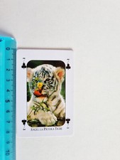 ANGEL TIGRE TIGER CARD RARE CARTE DA GIOCO CUCCIOLI BIG ANNI 2000 ORIGINAL