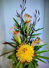 Pitcher plant, spider orchid and mum table centerpiece