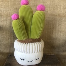 Plush Flowering Cactus Greenhouse by Russ New