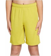 DSG Boy s Youth Mesh Training Shorts 2 Pairs . NWT. Warm Olive. Size L 14-16 .