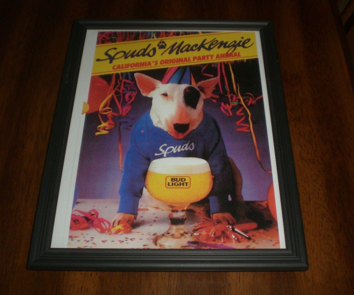 SPUDS MACKENZIE BUD LIGHT BEER FRAMED COLOR AD PRINTS - YOUR