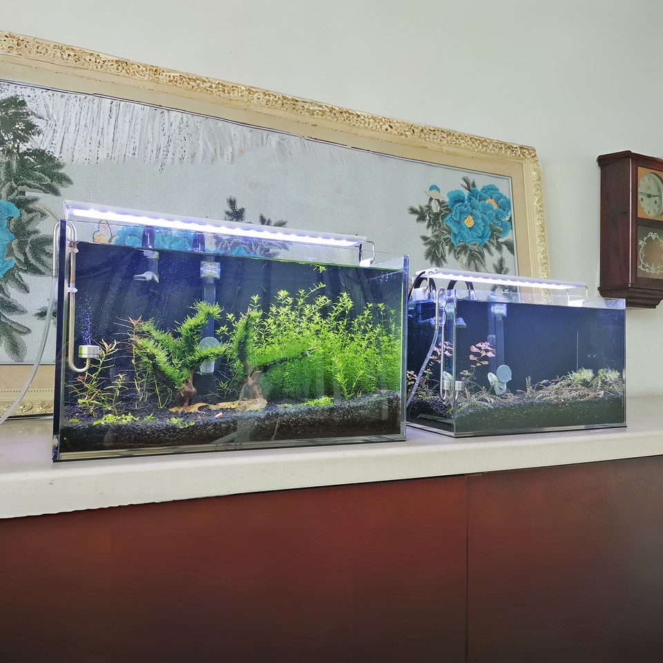 Theack Fish 16X8X10