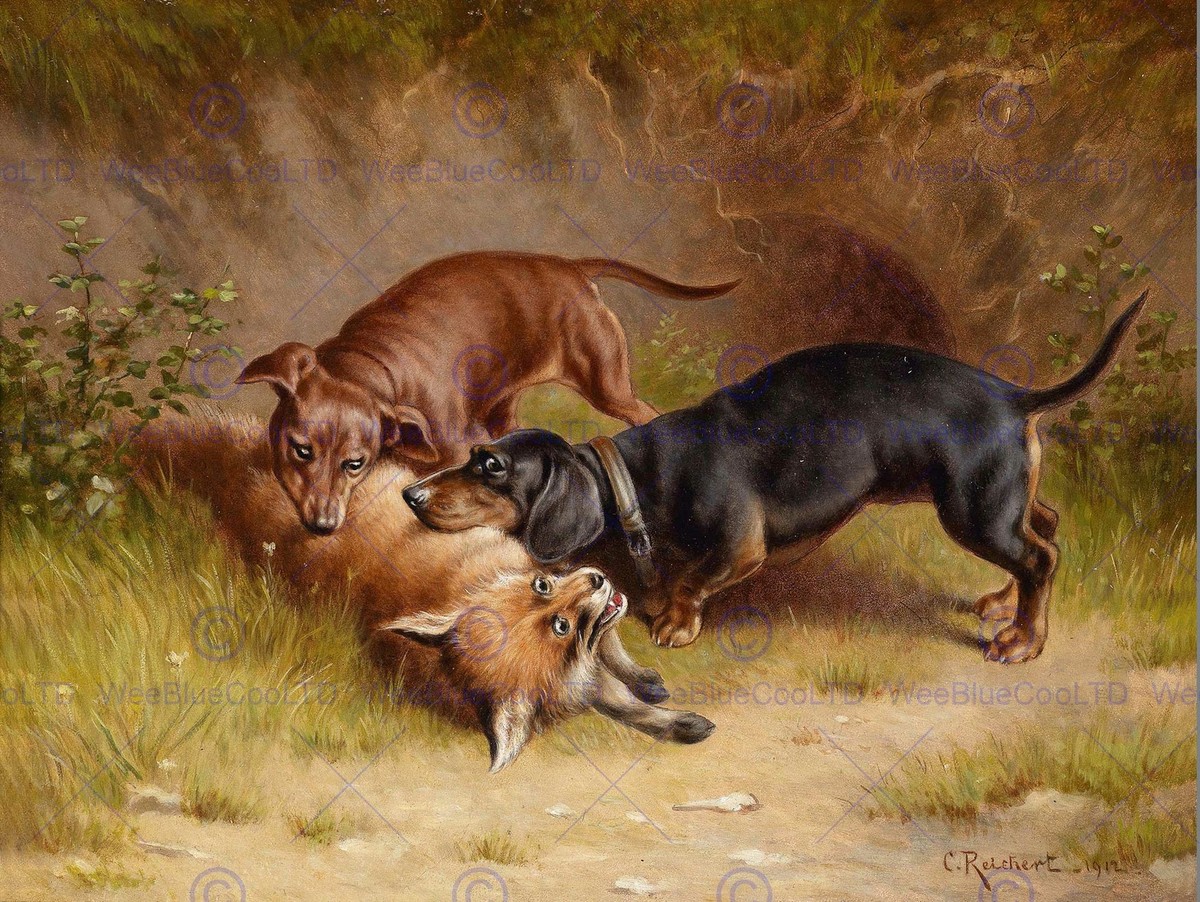 PAINTING ANIMAL DACHSHUND DOG FOX REICHERT HUNTING 12x16'' ART