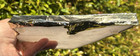 india ANTHROPOLOGIE 11" X 6 1/4" GILDED WHITE AGATE QUARTZ CHEESE PLATTER tray — photo 6