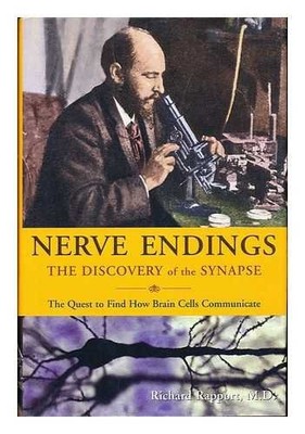 Nerve Endings: The Discovery Of The Synapse