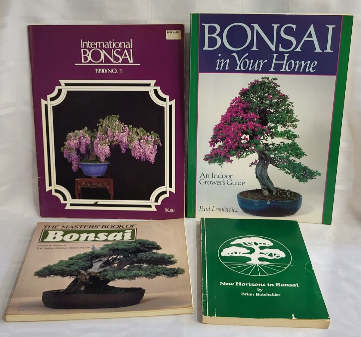 bonsai ginseng potatura Ginseng Ficus Bonsai in 8