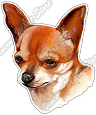 Cute Chihuahua Pet Dog Head Animal Mexico Car Bumper Vinyl Sticker Decal 4"X5"