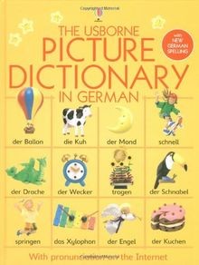 Usborne Picture Dictionary in German (Usborne Picture Di... | Buch | Zustand gut