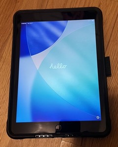 Apple iPad 9th Gen 64GB Wi-Fi + 4G LTE Cellular Gray - Excellent Cond 100% Batt 