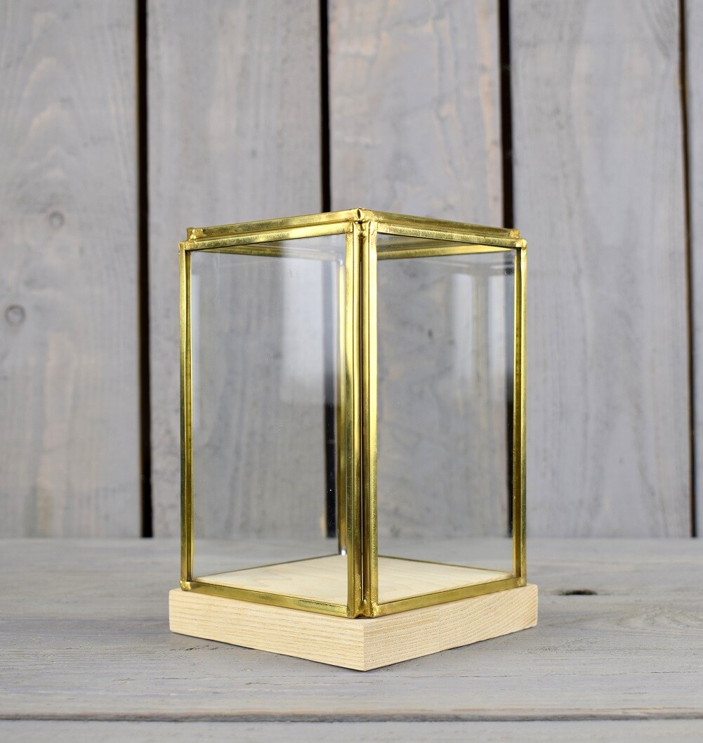 Glass and Brass Display Showcase Box Dome with Wooden Base Tall 17.5 cm