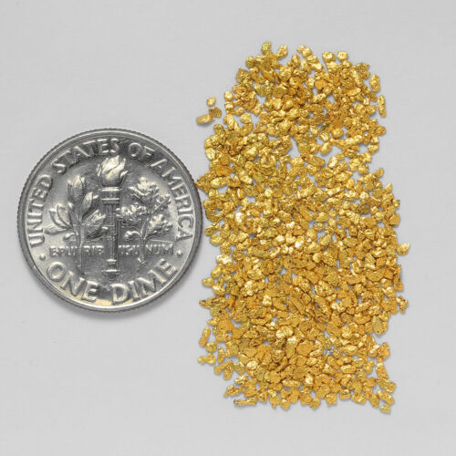 1.0256 Gram Alaska Natural Gold Nuggets --- (#63657-30) - Alaskan Gold Nuggets - Afbeelding 1 van 1