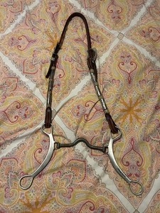 western show headstall with classic equine bit