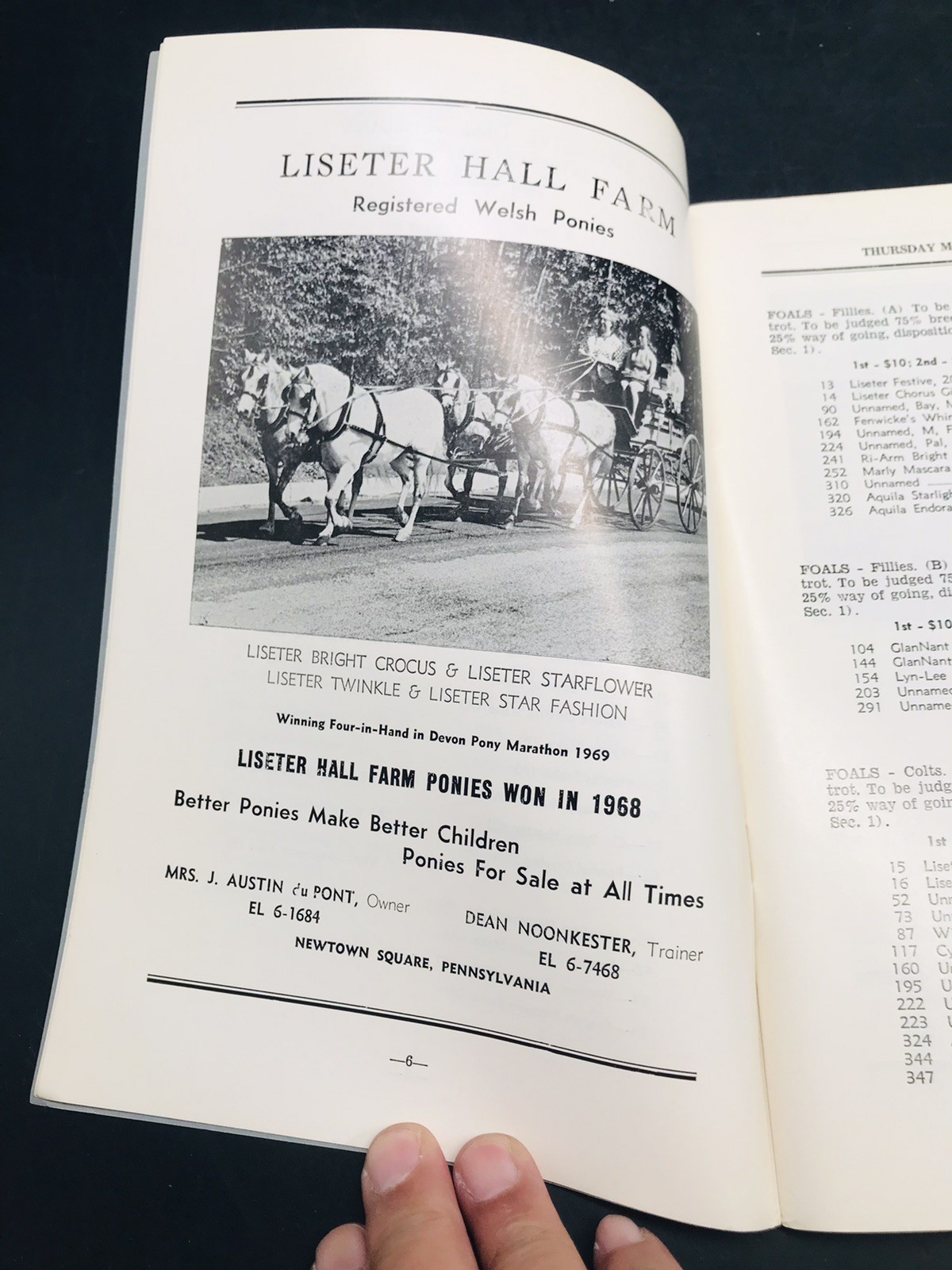 1969 10th Annual National Eastern Welsh Pony Show Horse Devon PA Catalog Program