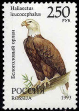 Russia #Mi354 MNH 1993 Bald Eagle Haliaectus leucocephalus [6186]