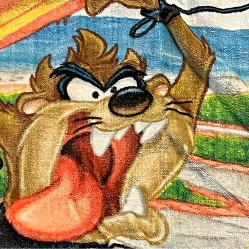 Vintage Tazmanian Devil Large Beach Towel Rollerblades Surf Board Inline Skates - Picture 4 of 8