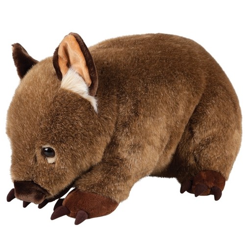 NEW-PLUSH-SOFT-TOY-Meet-Big-Wayne-The-WOMBAT-60cm