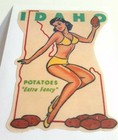 Idaho pinup girl sticker travel decal hot rat rod vintage look car truck 115