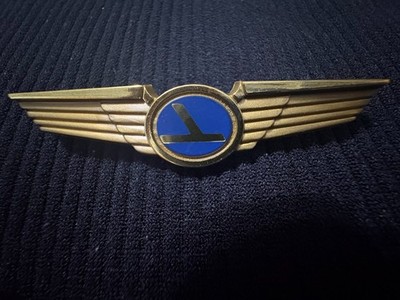 Vintage Eastern Air Lines Employee Wing Pin Blue Logo Brass Original Aviation