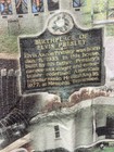 Picture 3 of 8