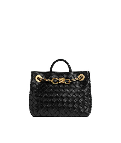BOTTEGA VENETA Andiamo Small Chain $5300 Black Leather Top Handle Bag New